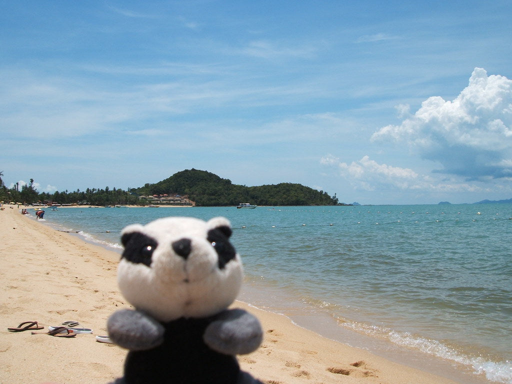 Summer Musings from the Badger's Den