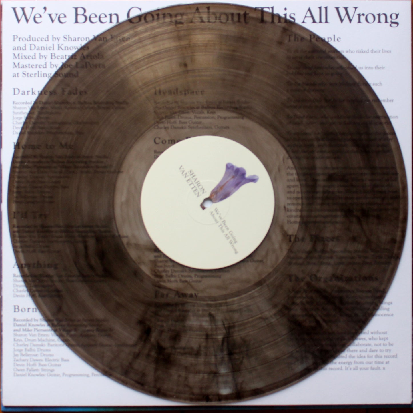 Sharon Van Etten - We've Been Going About This all Wrong (2nd Hand)