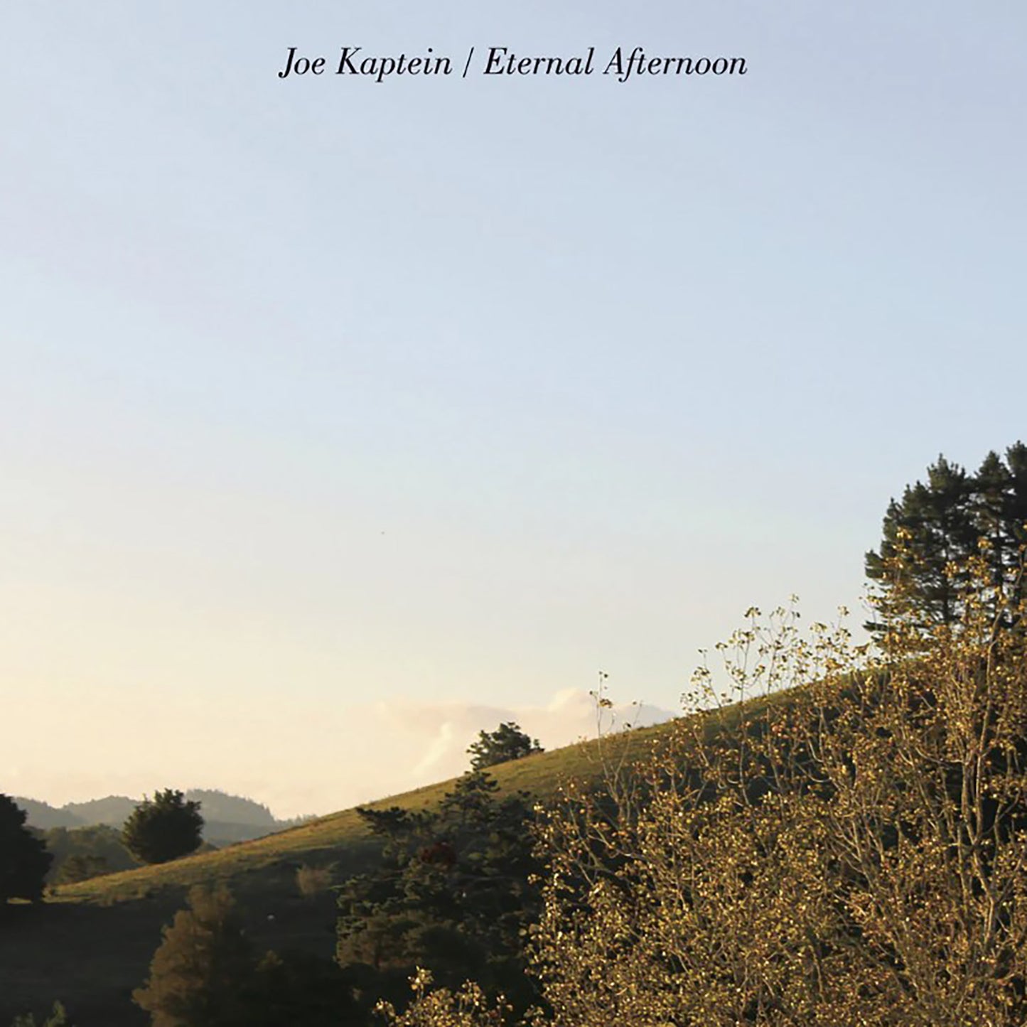 Joe Kaptein - Eternal Afternoon