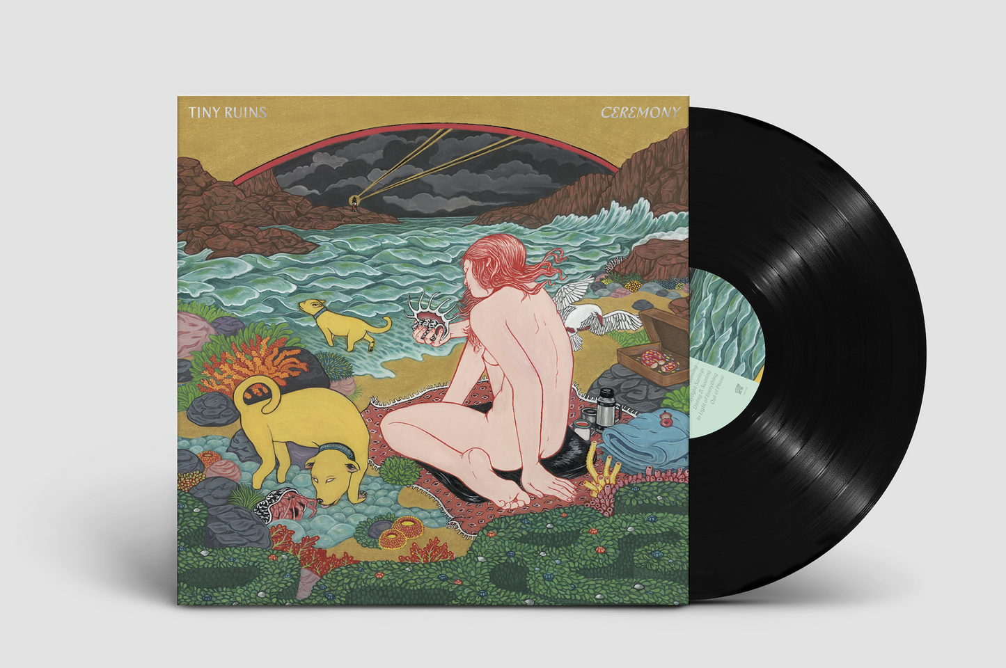 Tiny Ruins - Ceremony