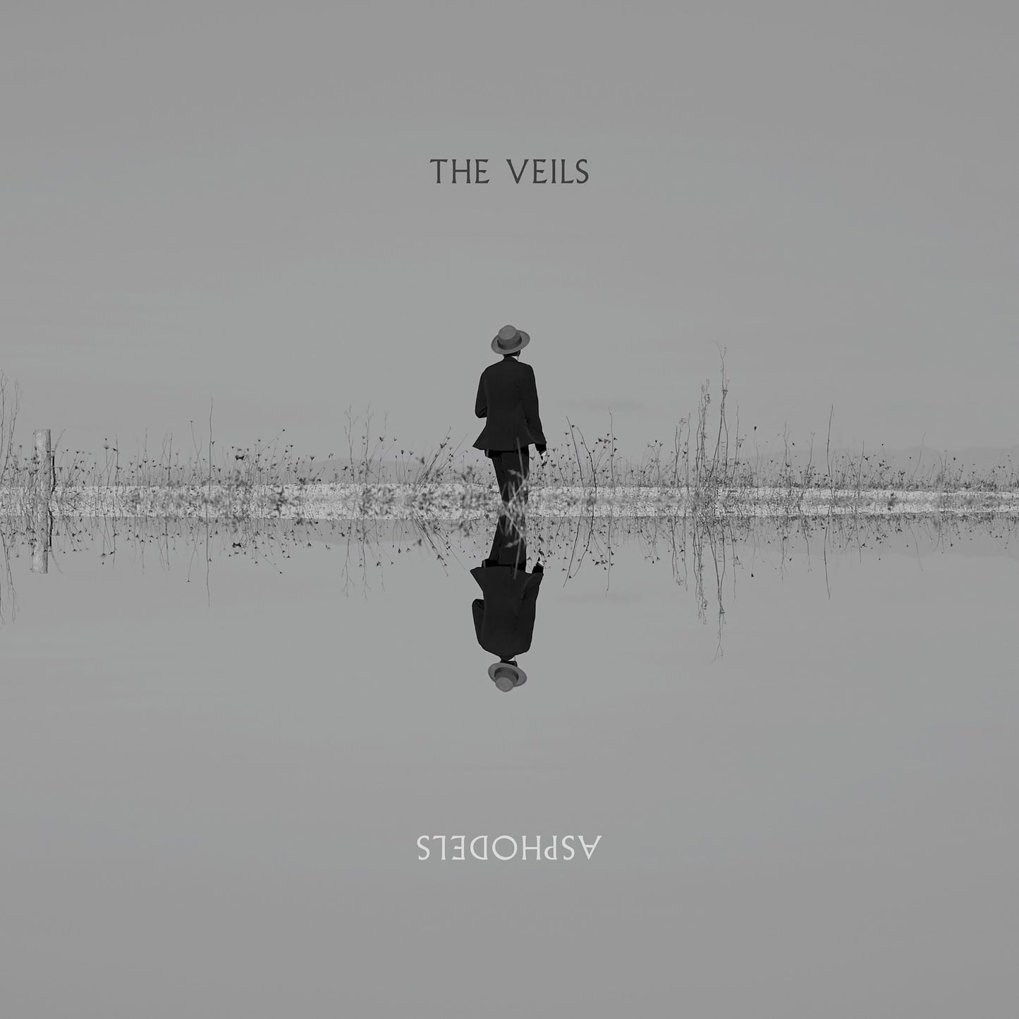 The Veils – Asphodels