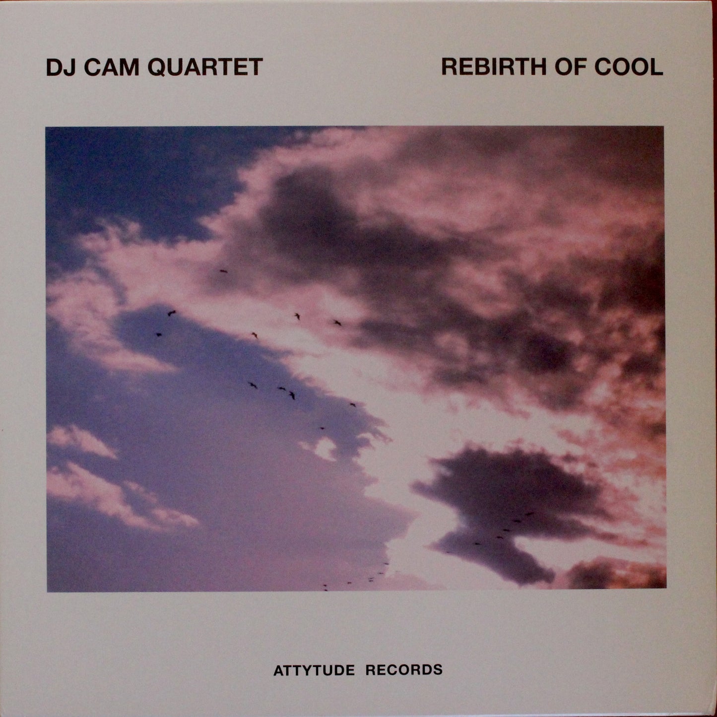 DJ Cam Quartet - Rebirth Of Cool (2nd Hand)