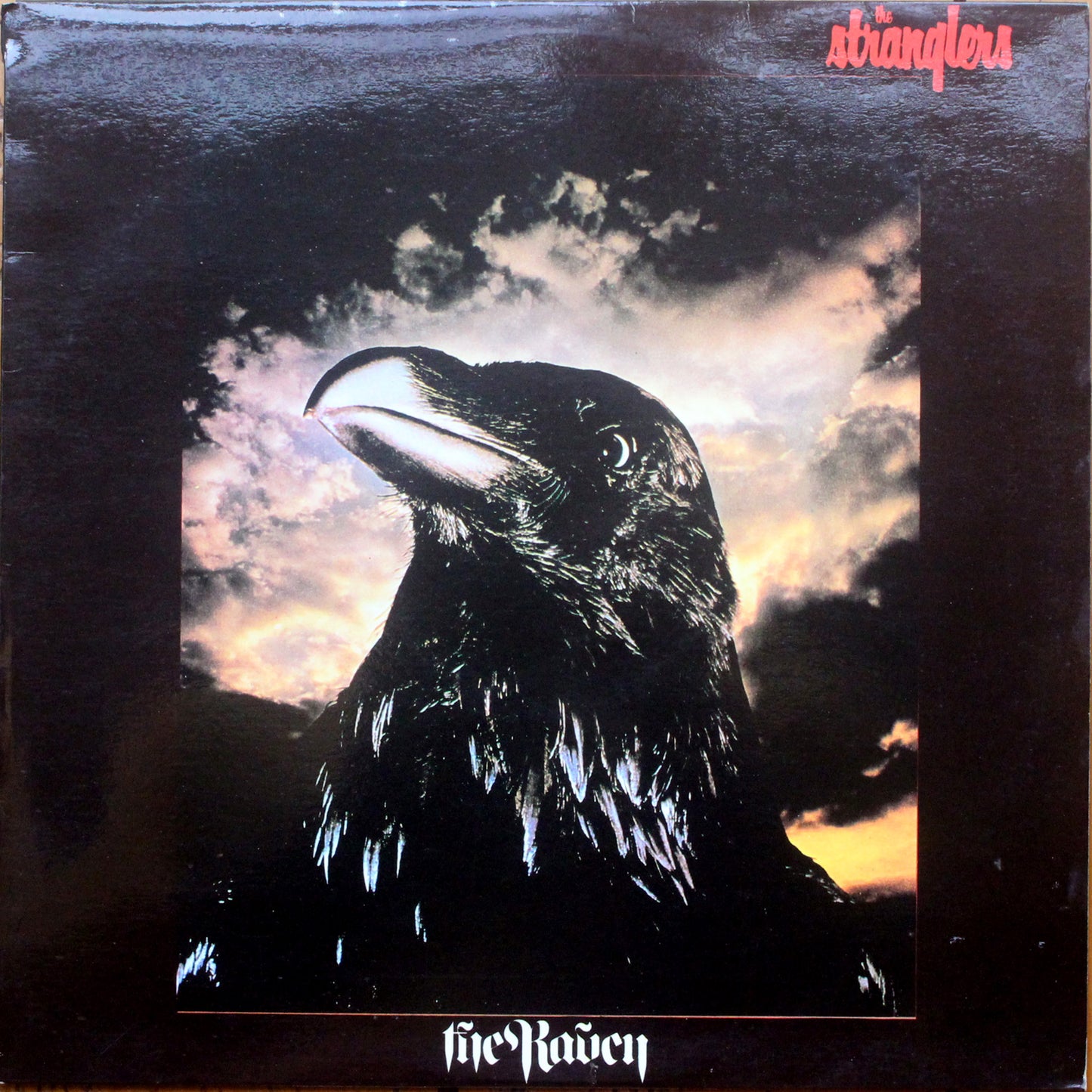 The Stranglers - The Raven (2nd-Hand)