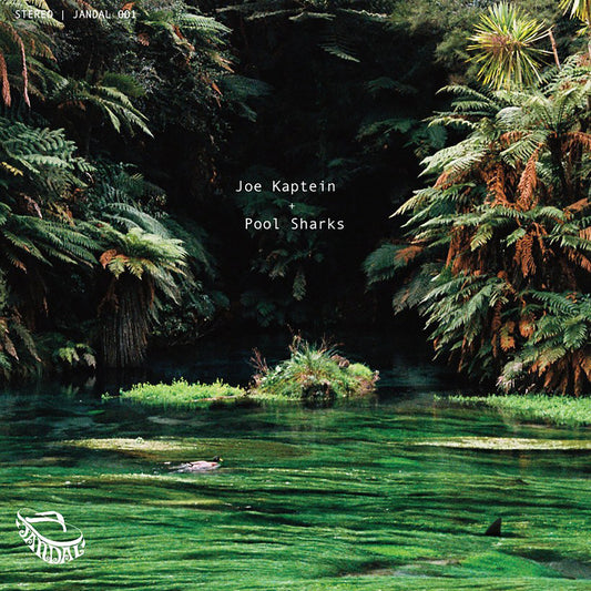 Joe Kaptein - Pool Sharks