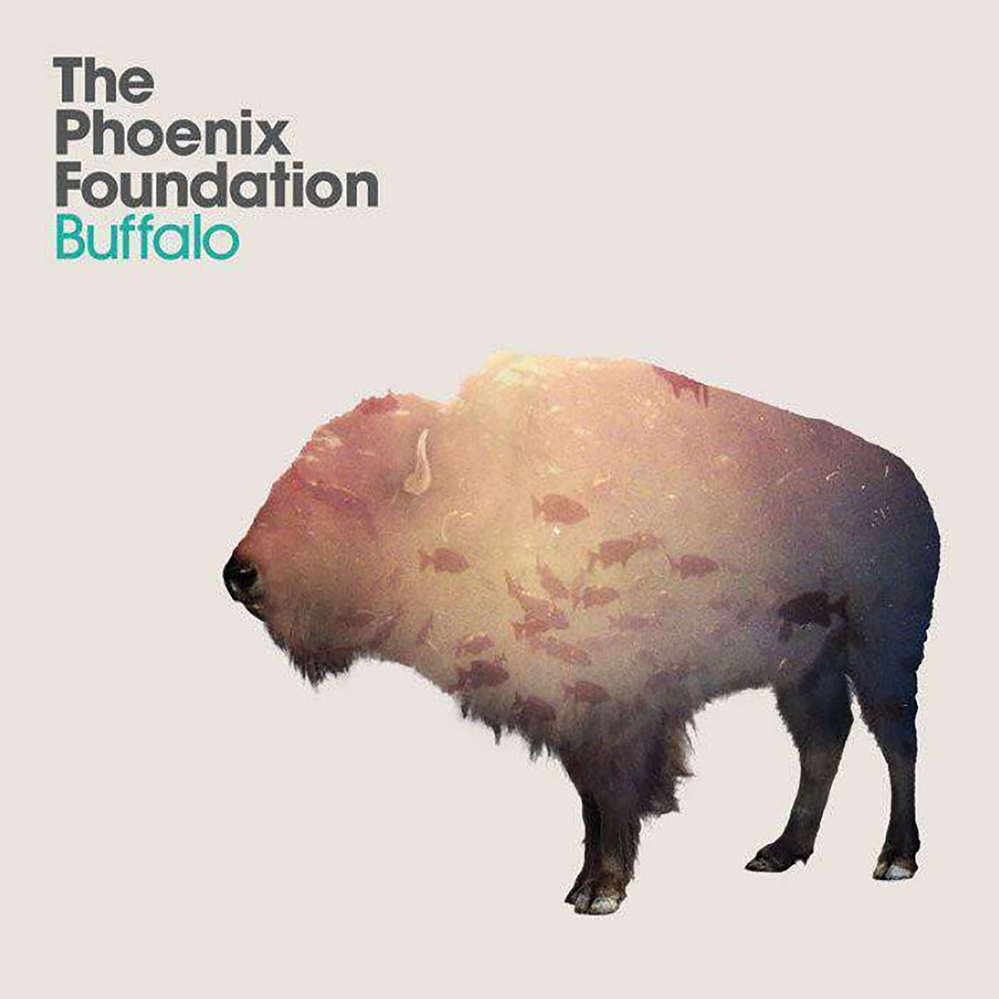 The Phoenix Foundation -Buffalo (10th Anniversary Edition)